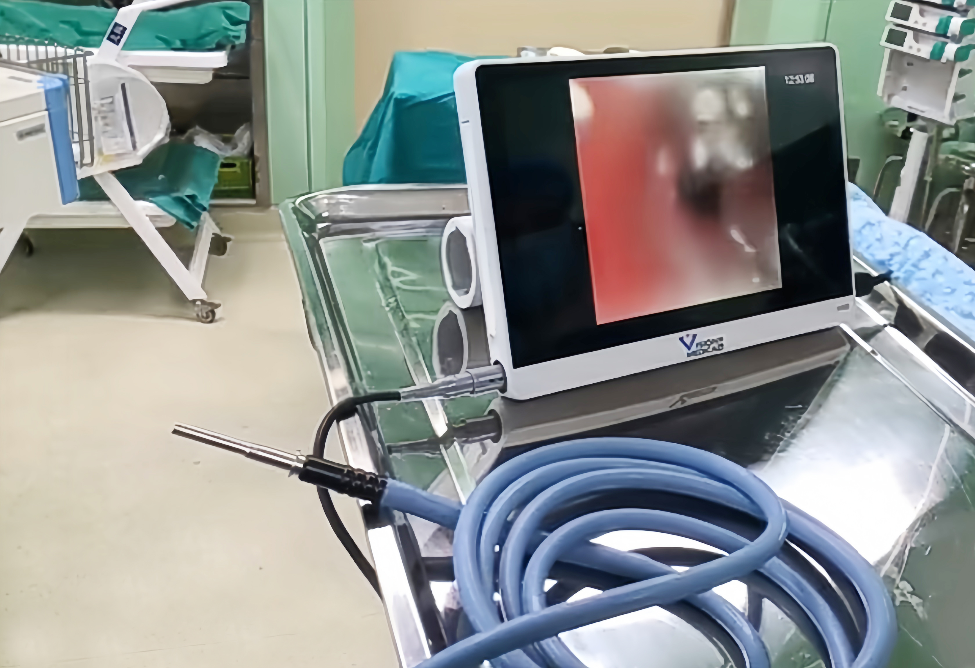 kaiyun开云同质透心地板